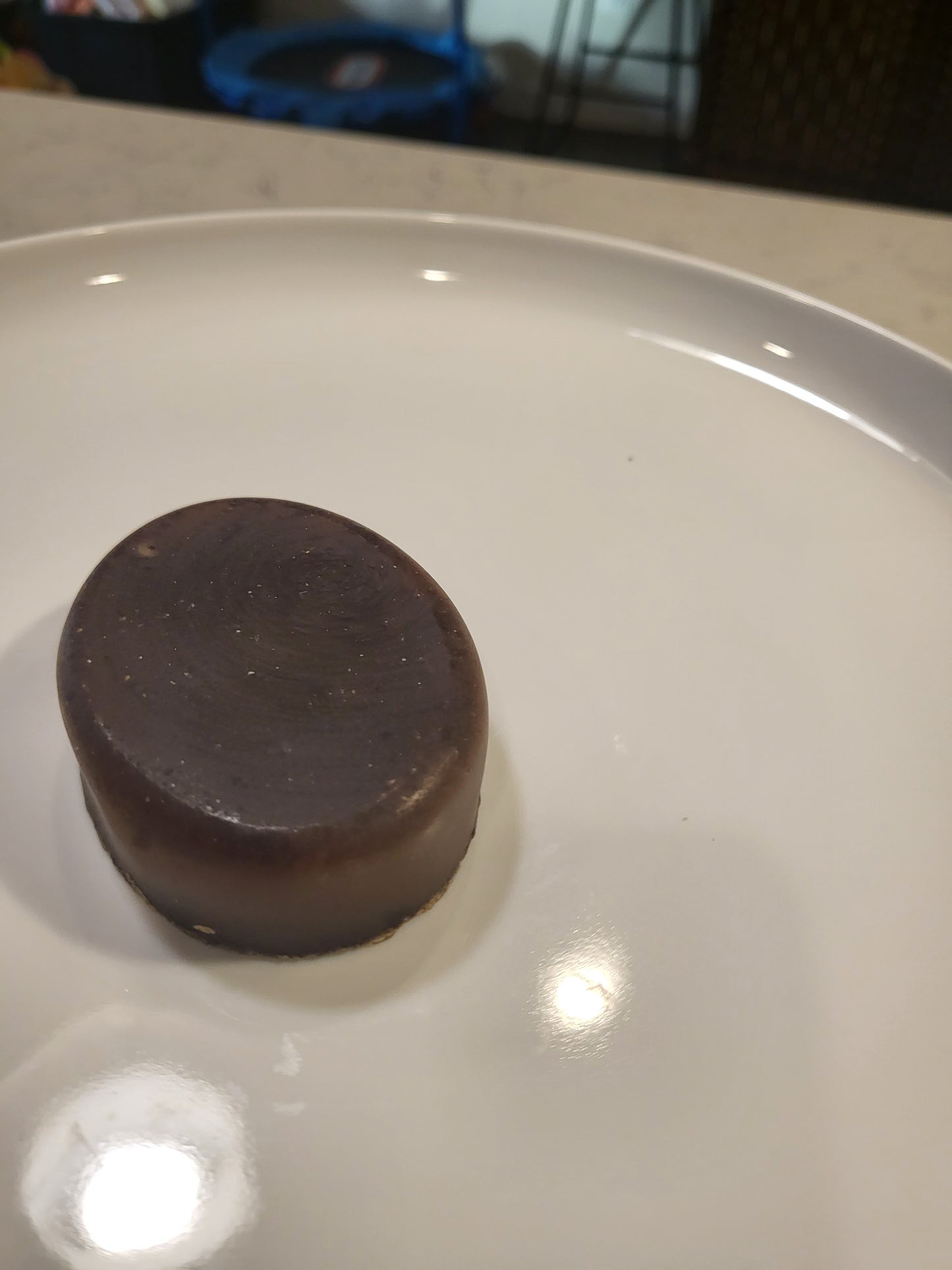Aloe Eucalyptus Shampoo Bar