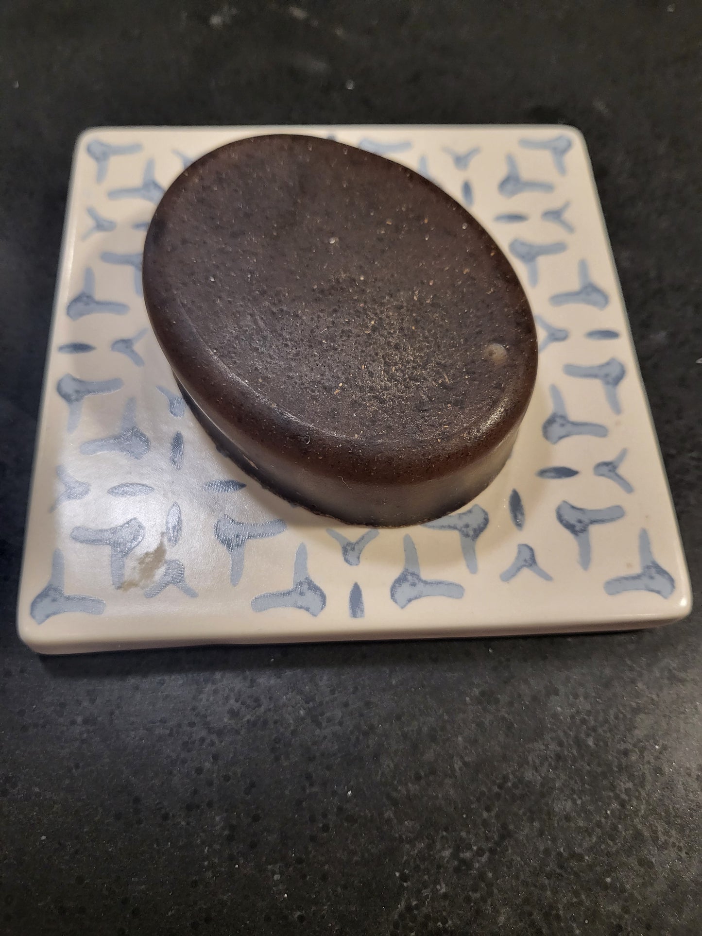 Aloe Eucalyptus Shampoo Bar